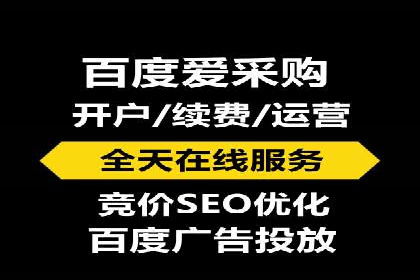 案例分析：SEM广告助力电商行业突破
